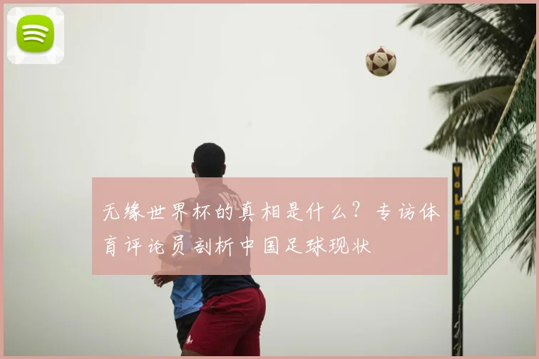 无缘世界杯的真相是什么？专访体育评论员剖析中国足球现状