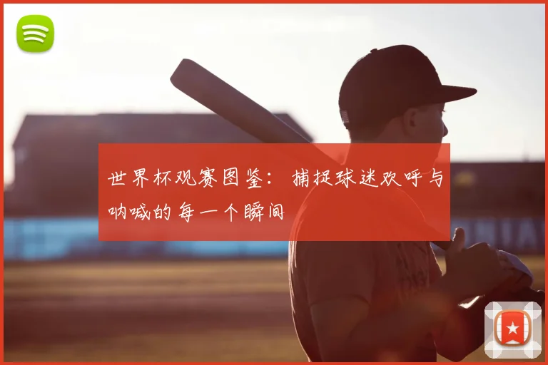 世界杯观赛图鉴:捕捉球迷欢呼与呐喊的每一个瞬间