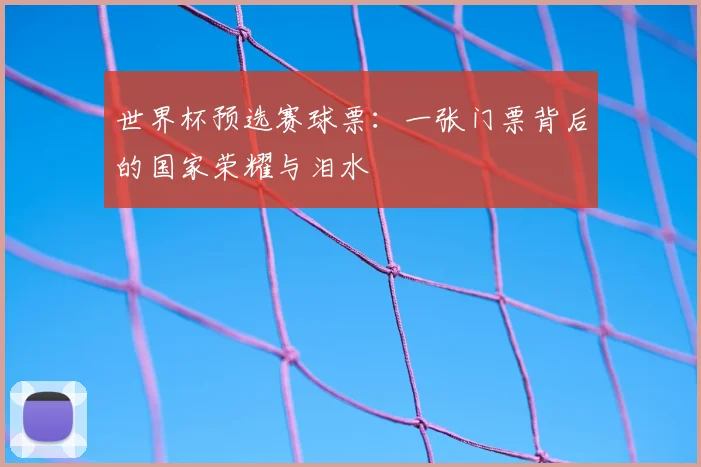 世界杯预选赛球票:一张门票背后的国家荣耀与泪水
