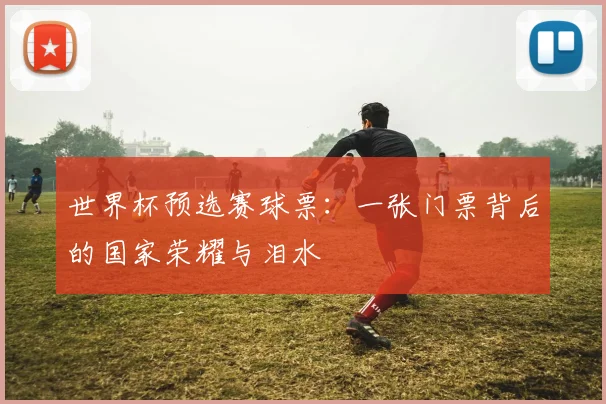世界杯预选赛球票：一张门票背后的国家荣耀与泪水