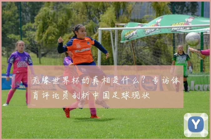 无缘世界杯的真相是什么？专访体育评论员剖析中国足球现状