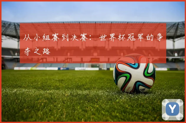 从小组赛到决赛:世界杯冠军的争夺之路