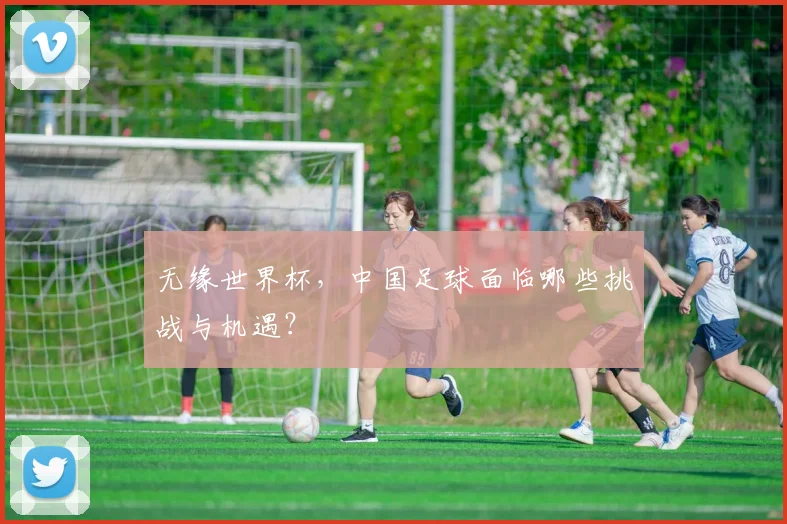 无缘世界杯，中国足球面临哪些挑战与机遇？