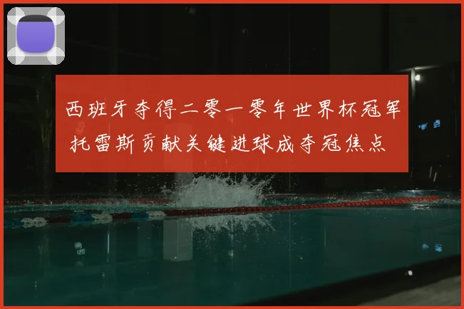 西班牙夺得二零一零年世界杯冠军 托雷斯贡献关键进球成夺冠焦点