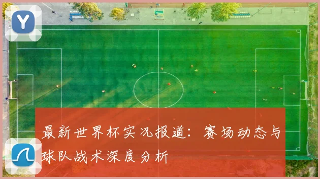 最新世界杯实况报道：赛场动态与球队战术深度分析