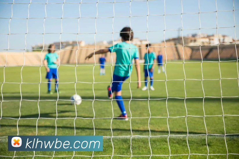 开云官方app下载入口发展历程